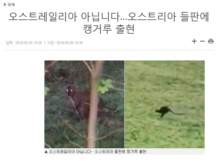 엄청난 수익을 올리고 성공한 대작 영화 대표 이미지