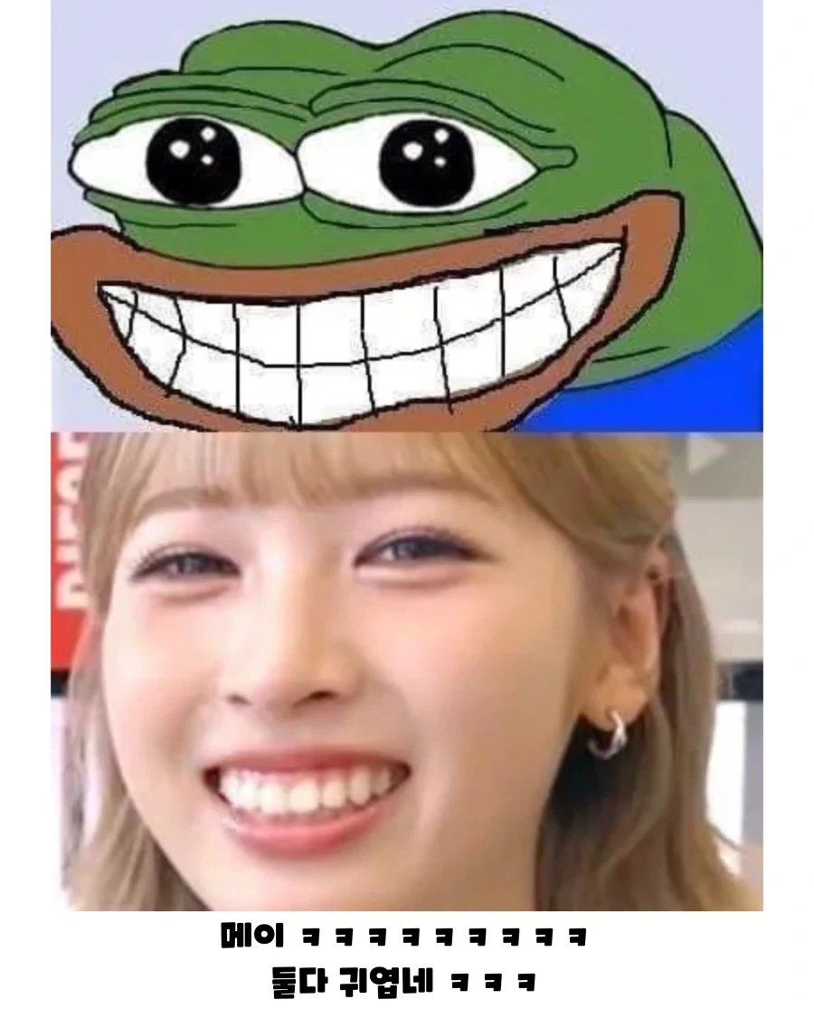 리센느 제나, 메이 닮은꼴..._3.webp