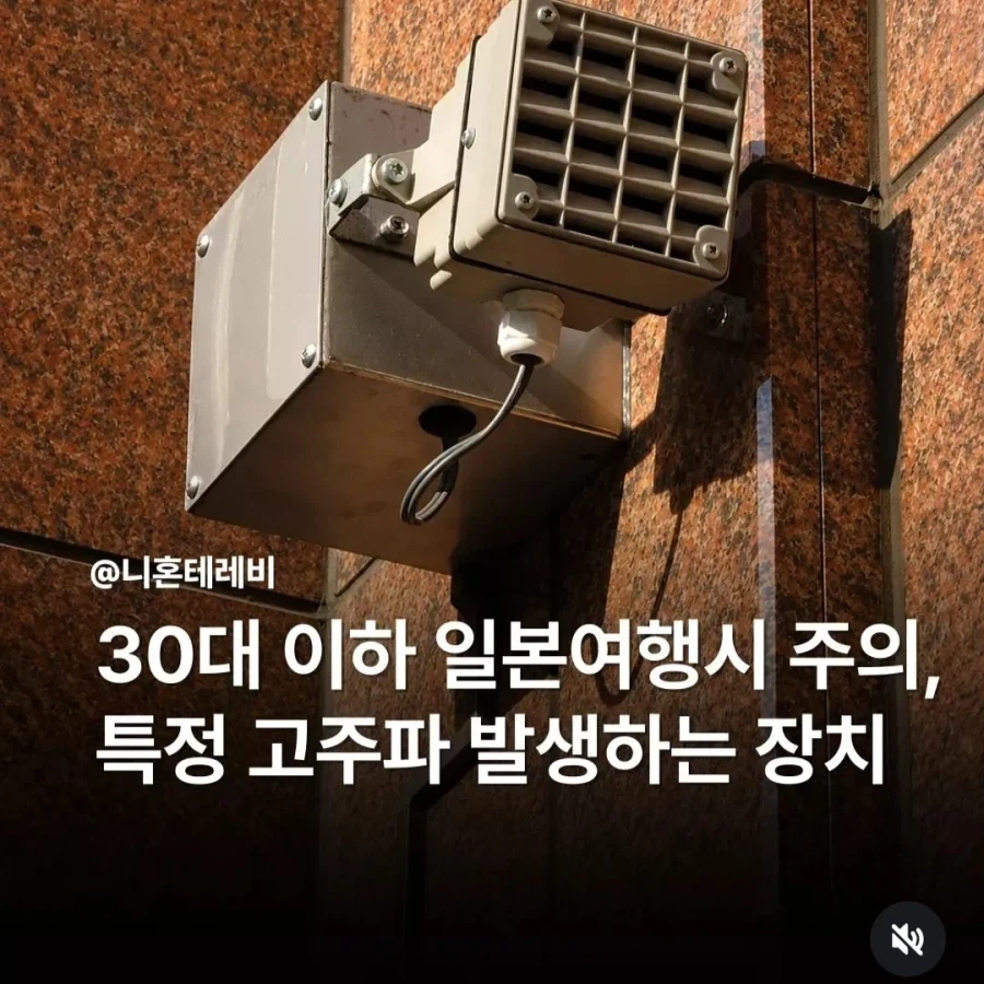 비타민의 효과를 맹신한 과학자의 최후 이미지 2