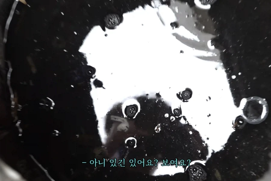 하수구에 에어팟 빠트린 추성훈_13.webp