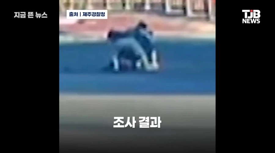 뜻 밖의 실적을 올려버린 경찰들_11.webp