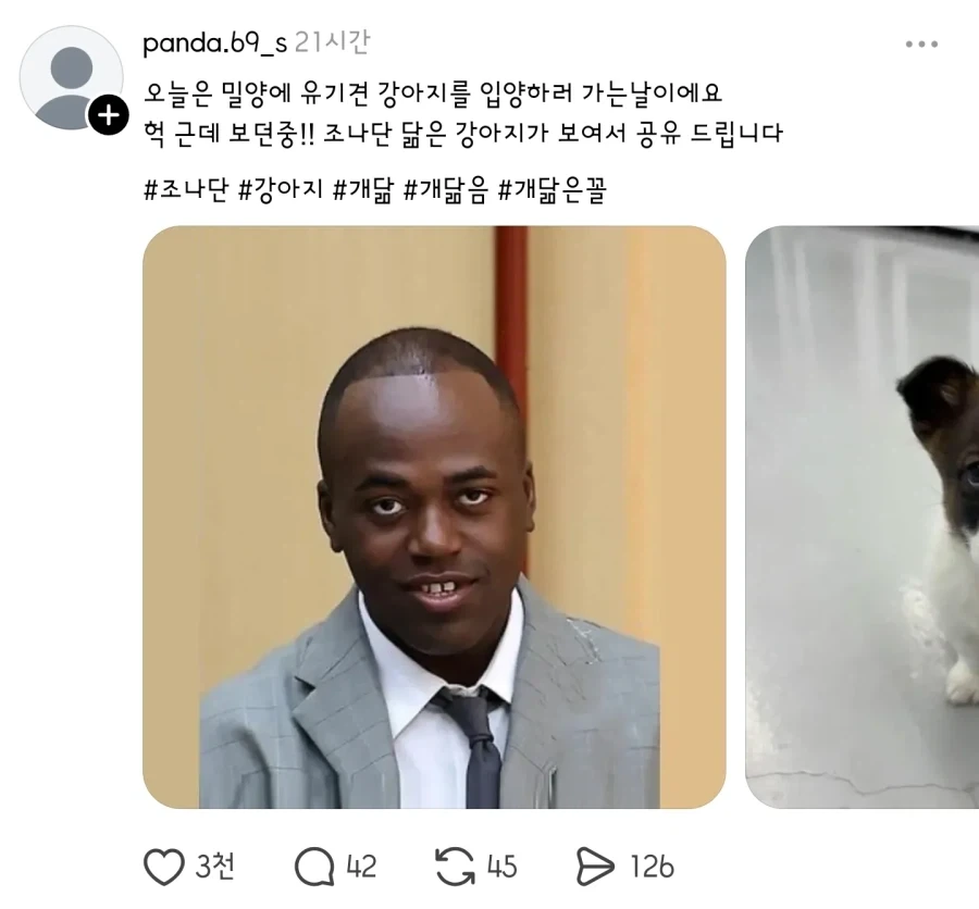 주식)최태원 회장 역대급 저점 잡은걸수도 대표 이미지