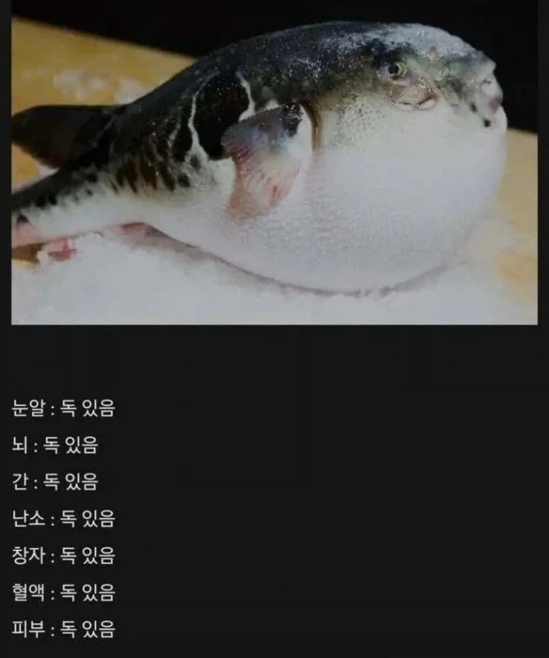 흙흑흐......나에게 공감해줘어...... 이미지 6