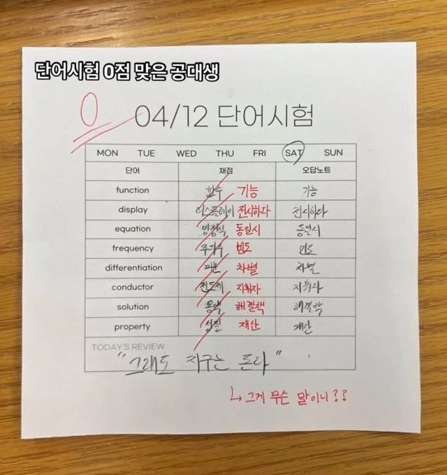 한국의 크기를 보고 충격받은 미국인 이미지 5