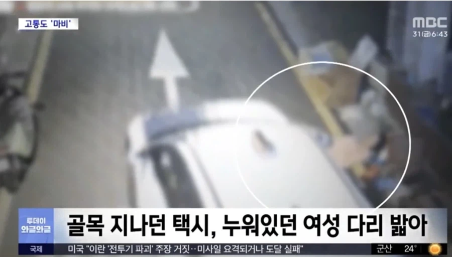 트릭컬)근데 뭔가 벨리타만 뭔가 심각함 이미지 4