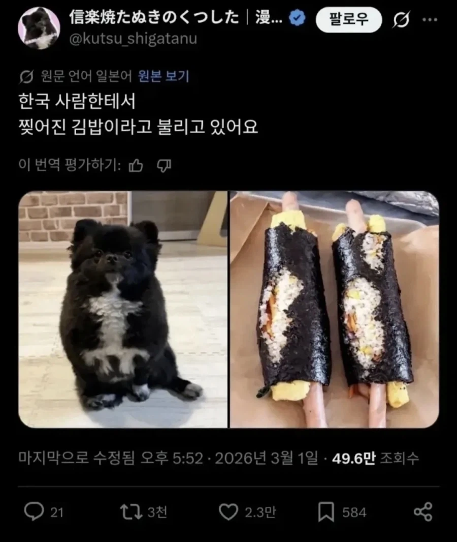 내 몸은 피로 이루어져 있다 이미지 2