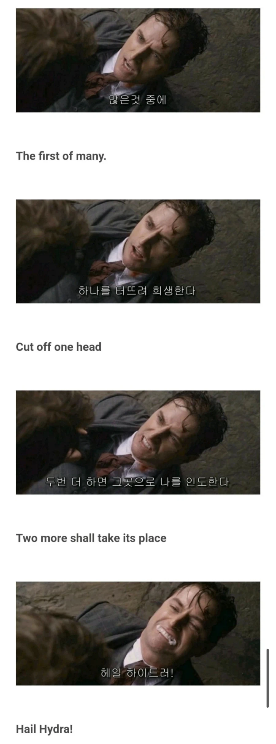 내 몸은 피로 이루어져 있다 대표 이미지