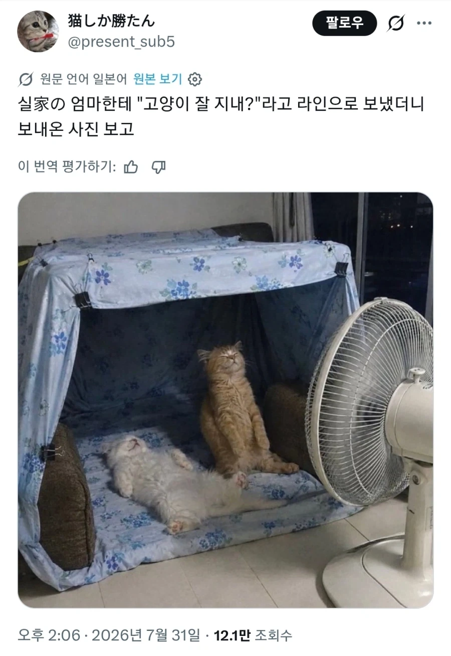 다시보는 영화 호프 칸영화제 버전 반응.jpg 이미지 2