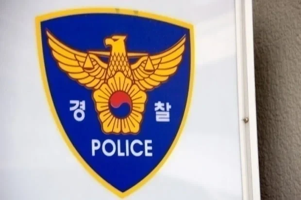 시끌시끌한 젠다야 귀걸이.jpg 이미지 3