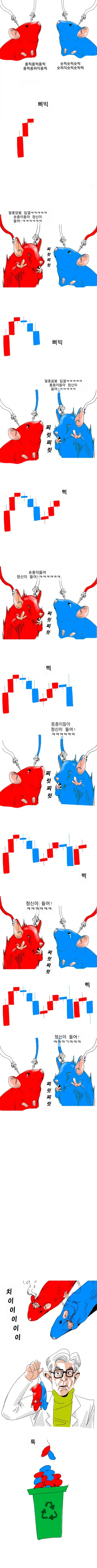 주짓수 대응 필수 용품 이미지 7