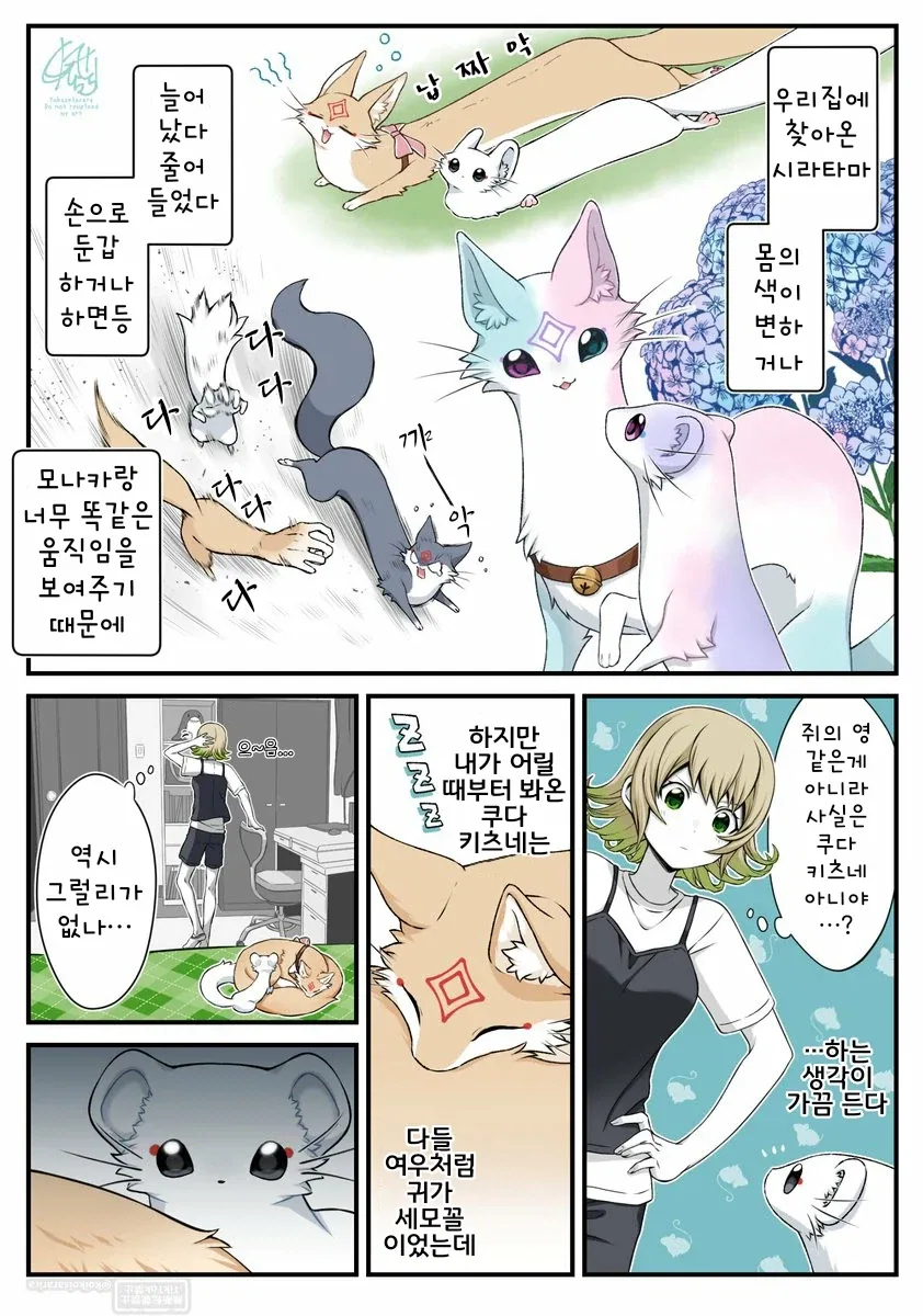 @) 해석에 따라서 끌림도가 달라진다는 전설의 사나에씨.manhwa 대표 이미지