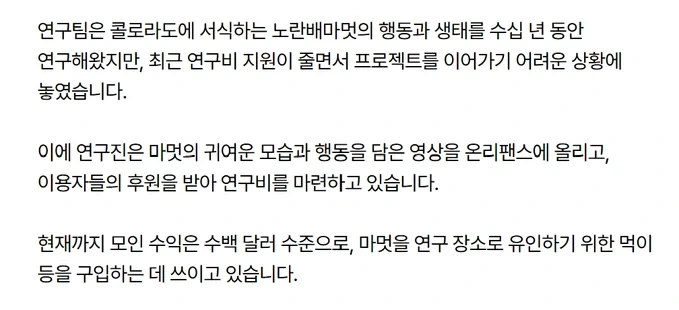 연구비 충당을 위해 온리팬스를 시작한 과학자들_2.webp