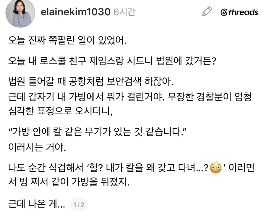 나 몰래 해외여행을 계획하다 딱 걸린 고양이 대표 이미지