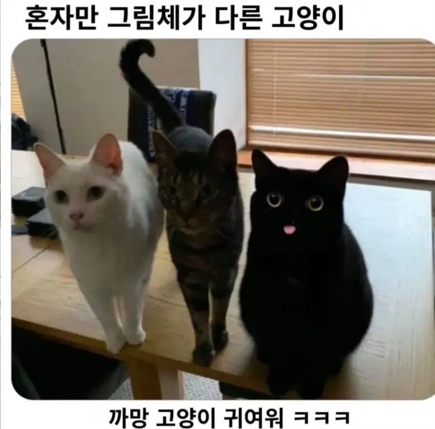 호리데이)살인사건 대표 이미지