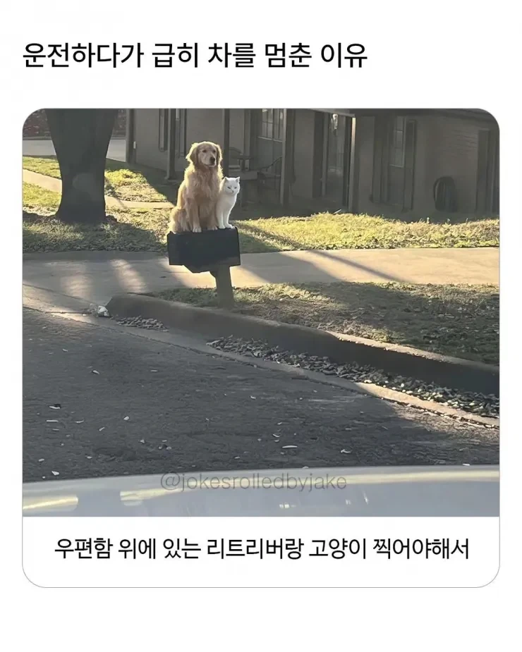 대마법사 커리큘럼...해외 반응...jpg 이미지 2