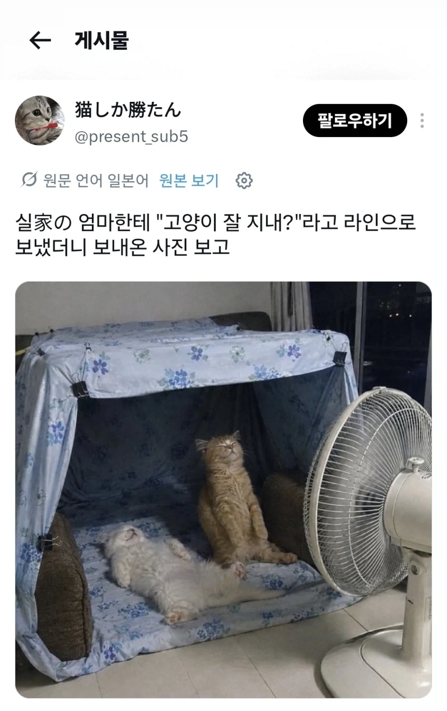 젖플레이션의 결과물 대표 이미지