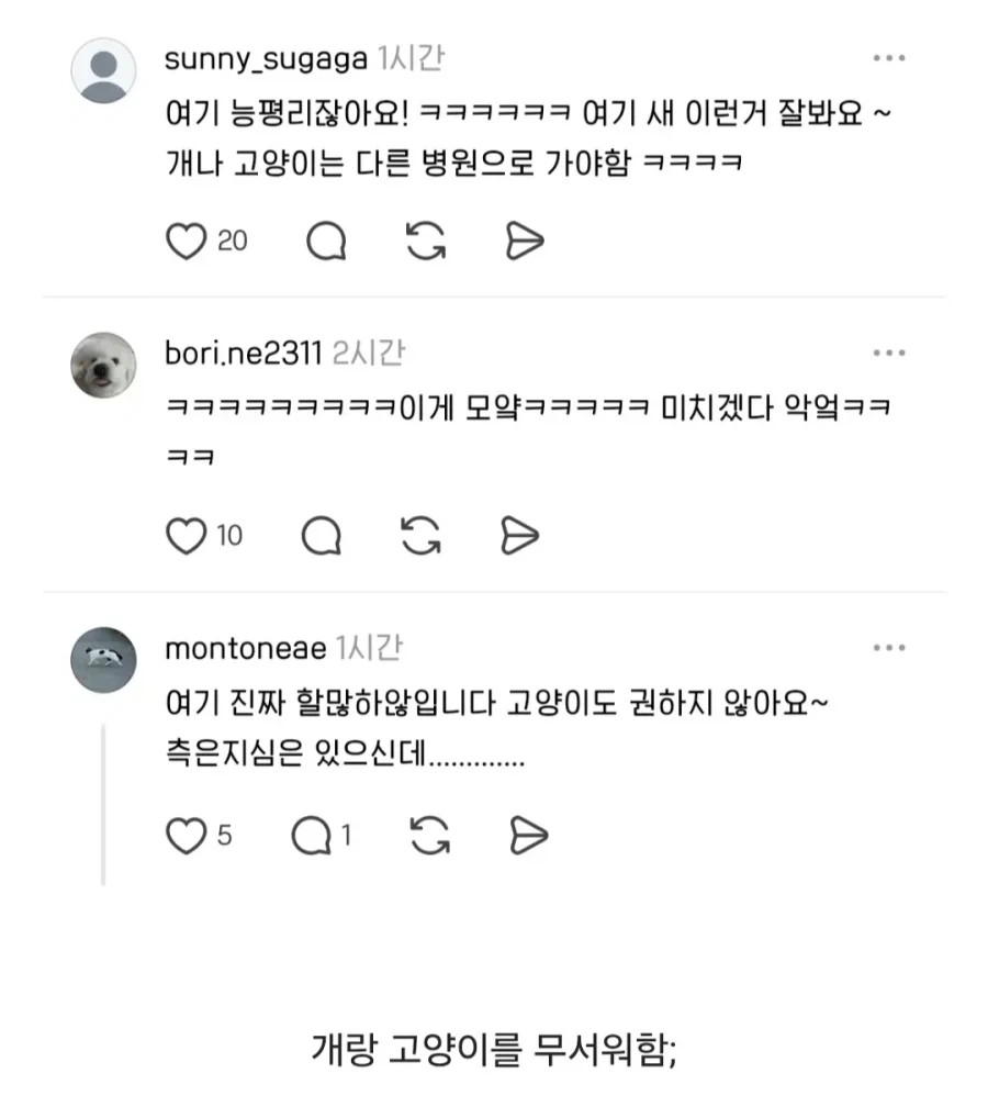 개랑 고양이를 무서워 하는 동물병원_2.webp