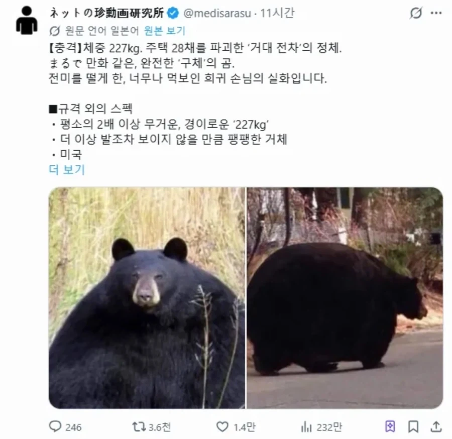의도치않게 빨간약을 먹어버린 독자들.jpg 대표 이미지