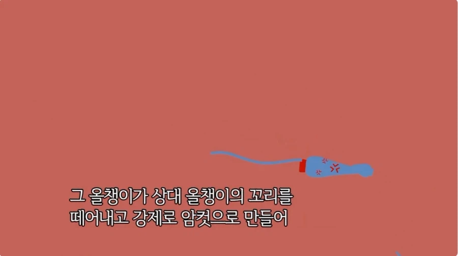 2차 창작 모호들이 환호할만한 세계관_4.webp