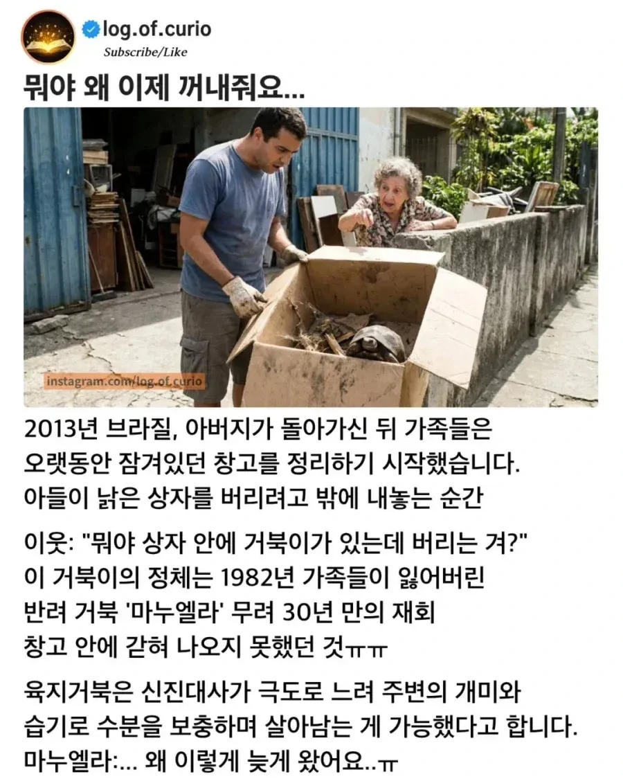 22만원짜리 피규어 이미지 2