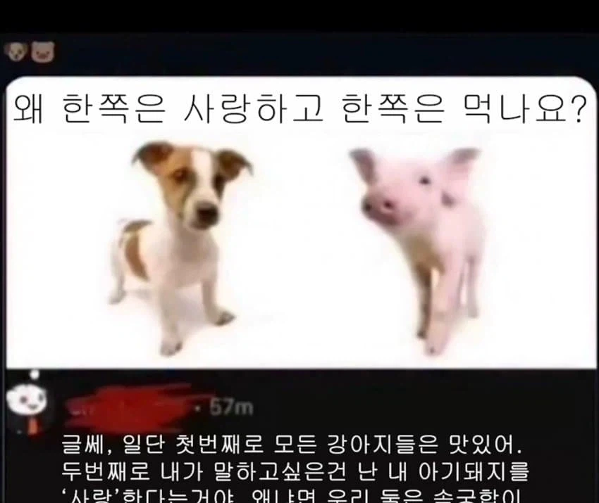 한번 신뢰를 잃으면 어쩌구... 대표 이미지