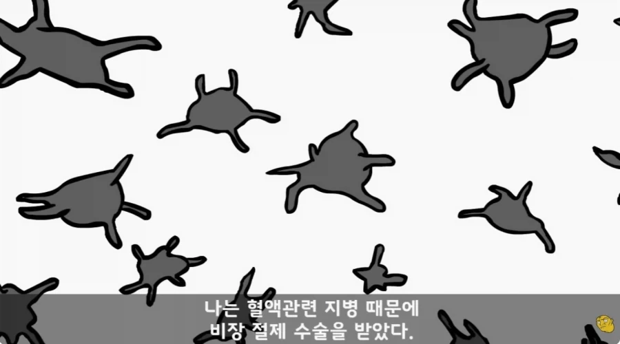 조카에게 잘해주고 싶은 이유 대표 이미지