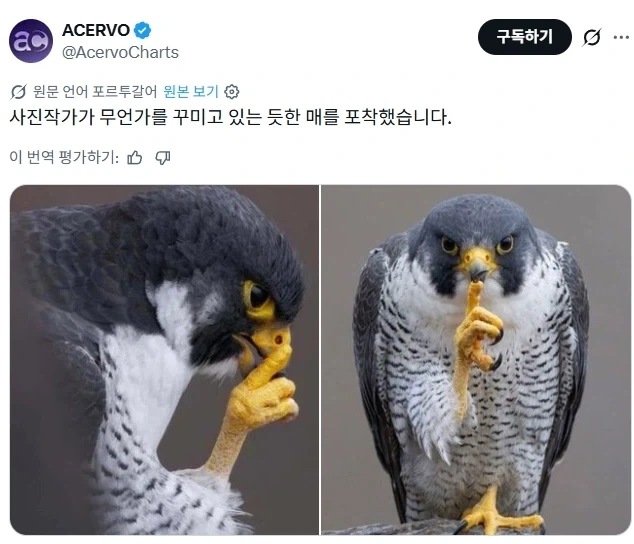 작법서에서 새드엔딩을 극구 만류하는 이유.jpg 이미지 2