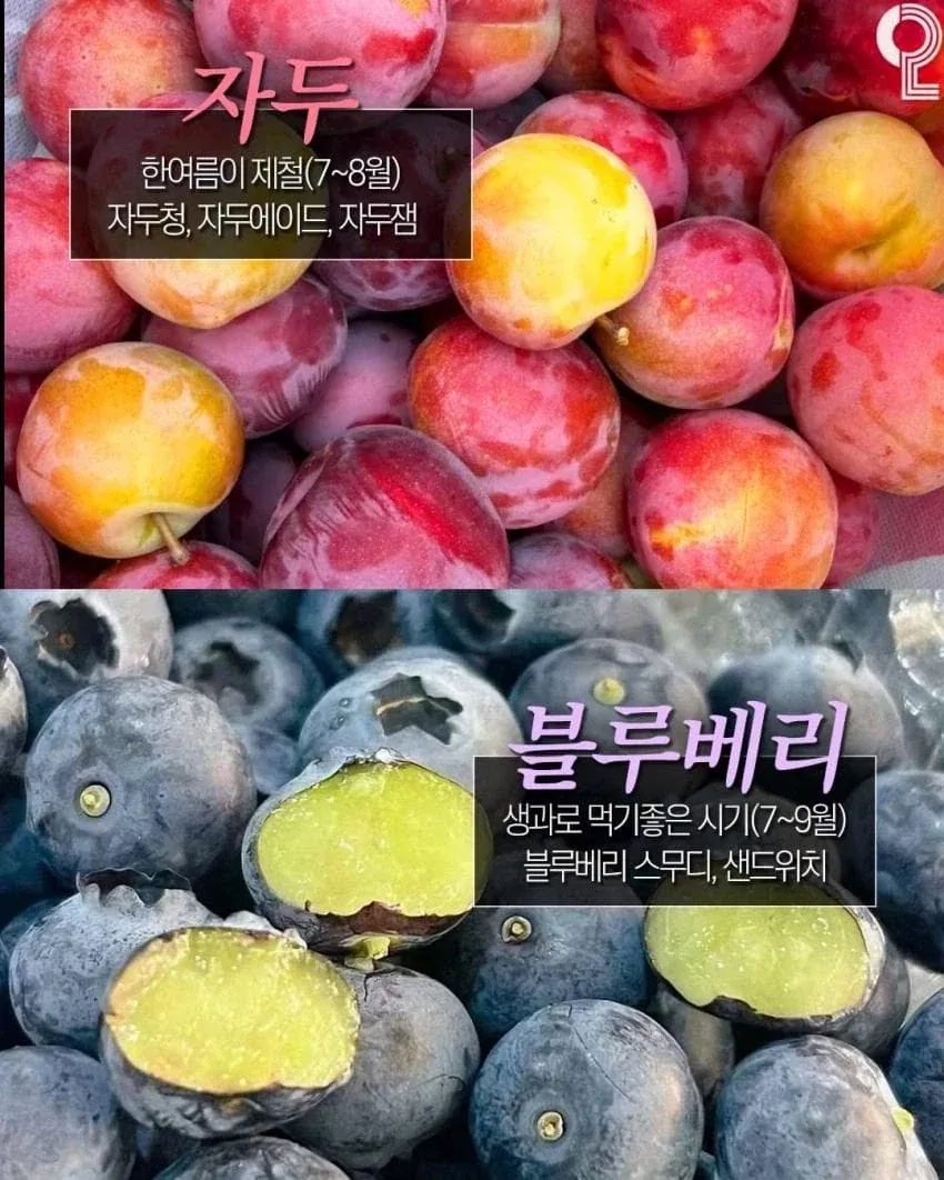 8월에 놓치면 후회하는 제철음식_7.webp