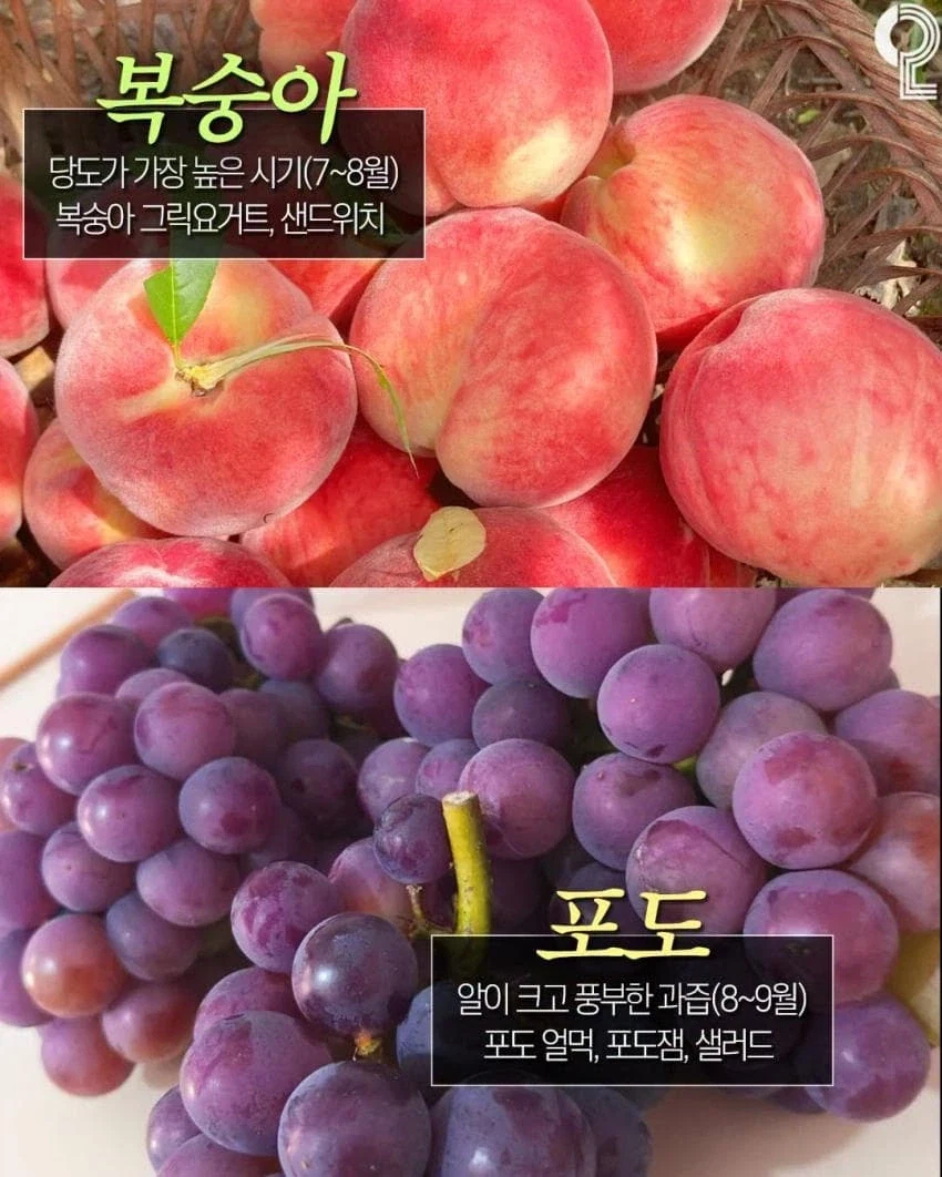 8월에 놓치면 후회하는 제철음식_8.webp
