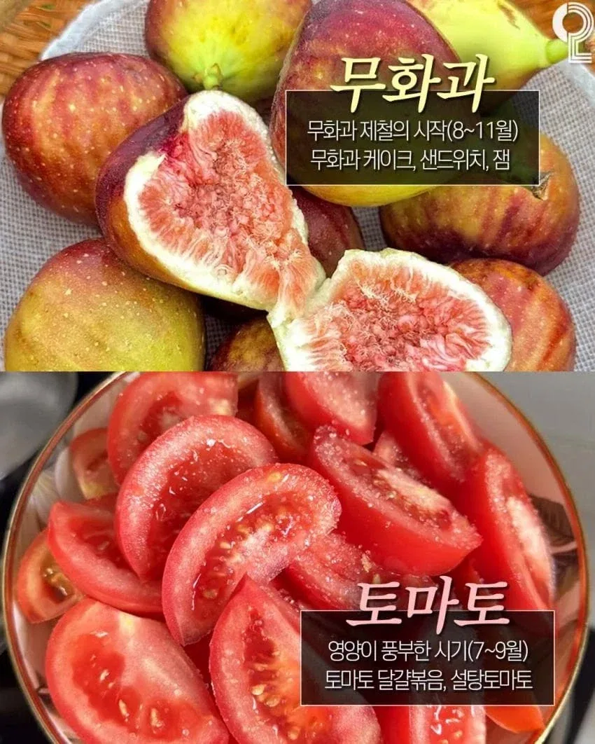 8월에 놓치면 후회하는 제철음식_9.webp