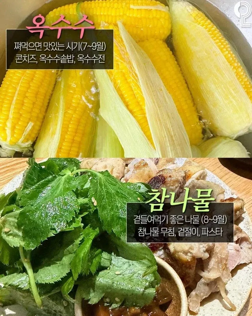 8월에 놓치면 후회하는 제철음식_10.webp