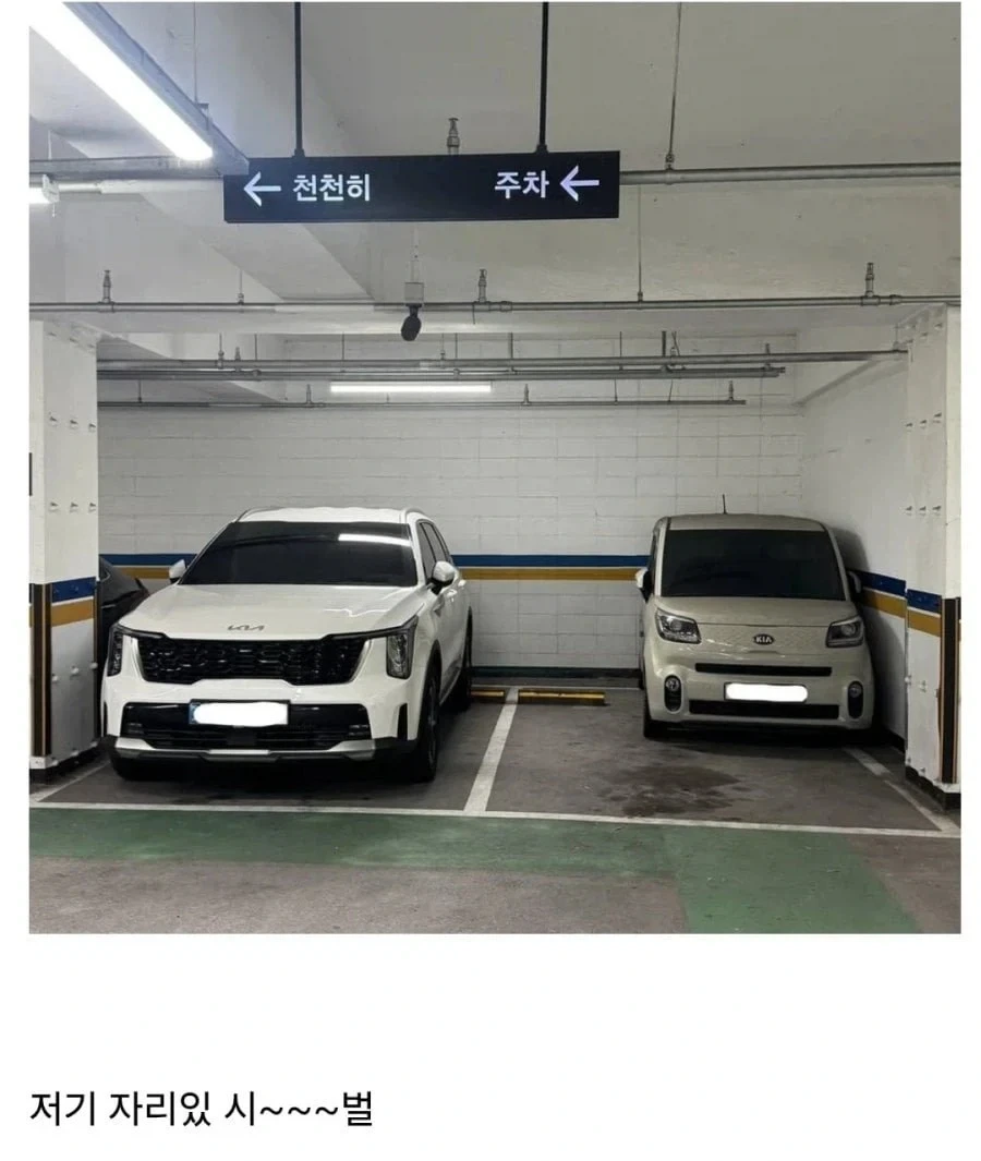 무더위에 고양이 걱정되서 엄마한테 물어봤더니 이미지 2