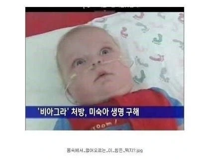 무더위에 고양이 걱정되서 엄마한테 물어봤더니 대표 이미지
