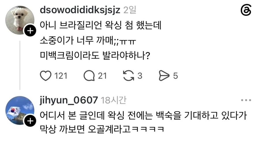 작품에서 망했다는 표현의 무게 대표 이미지