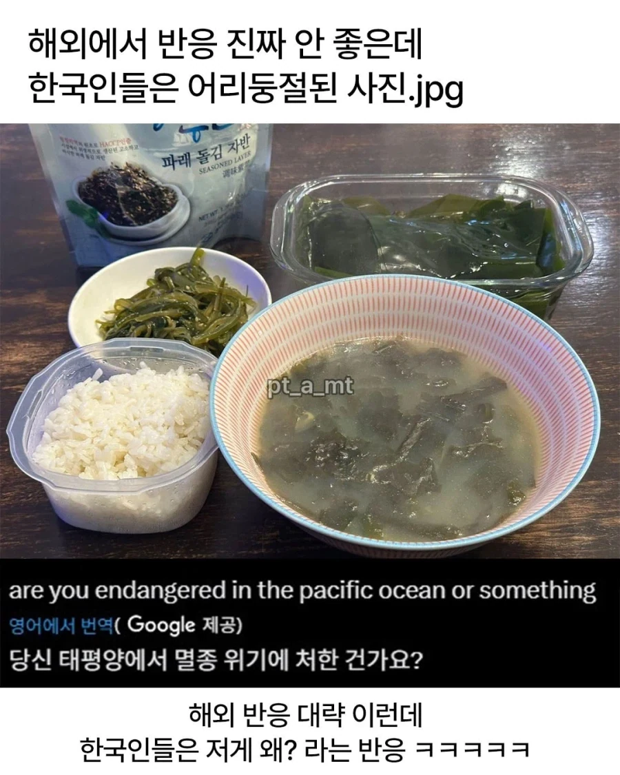 일본군(아님)이 조선인(아님)을 징병하려다 걸림 이미지 2