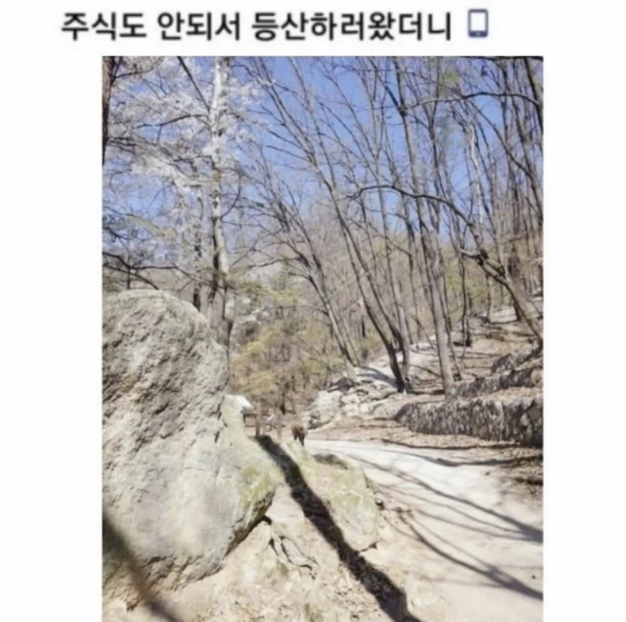 지진으로 대피한 직원을 다시 건물에 들여보낸 이유 이미지 3