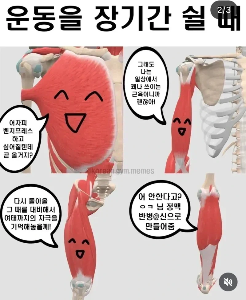 운동에 비협조적인 근육_2.webp