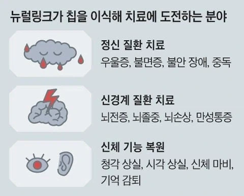 유능한 독재라니? 대표 이미지