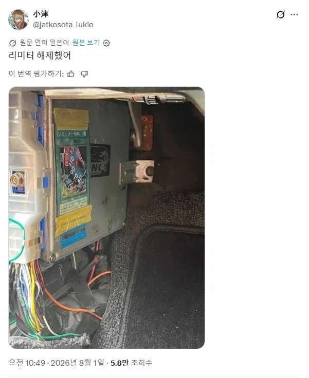 눈에 넣어도 안아플 내 새끼.jpg 이미지 3