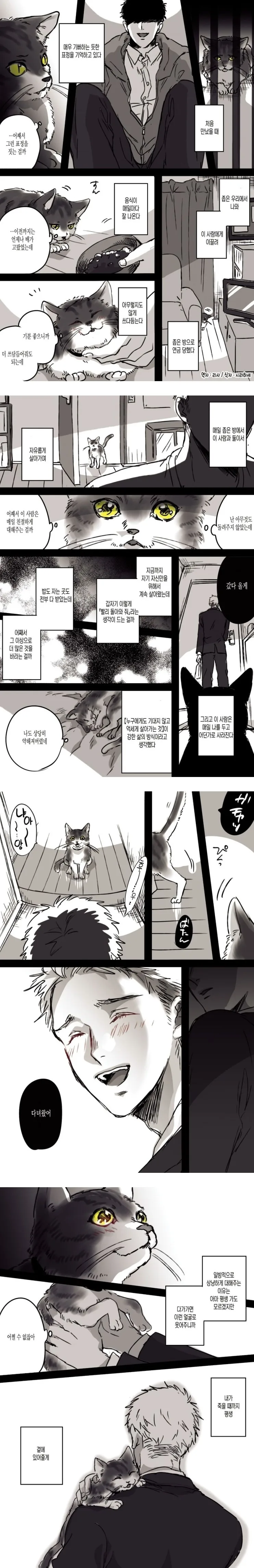 검술 실력이 뛰어난 엘프를 주운.Manhwa 이미지 2