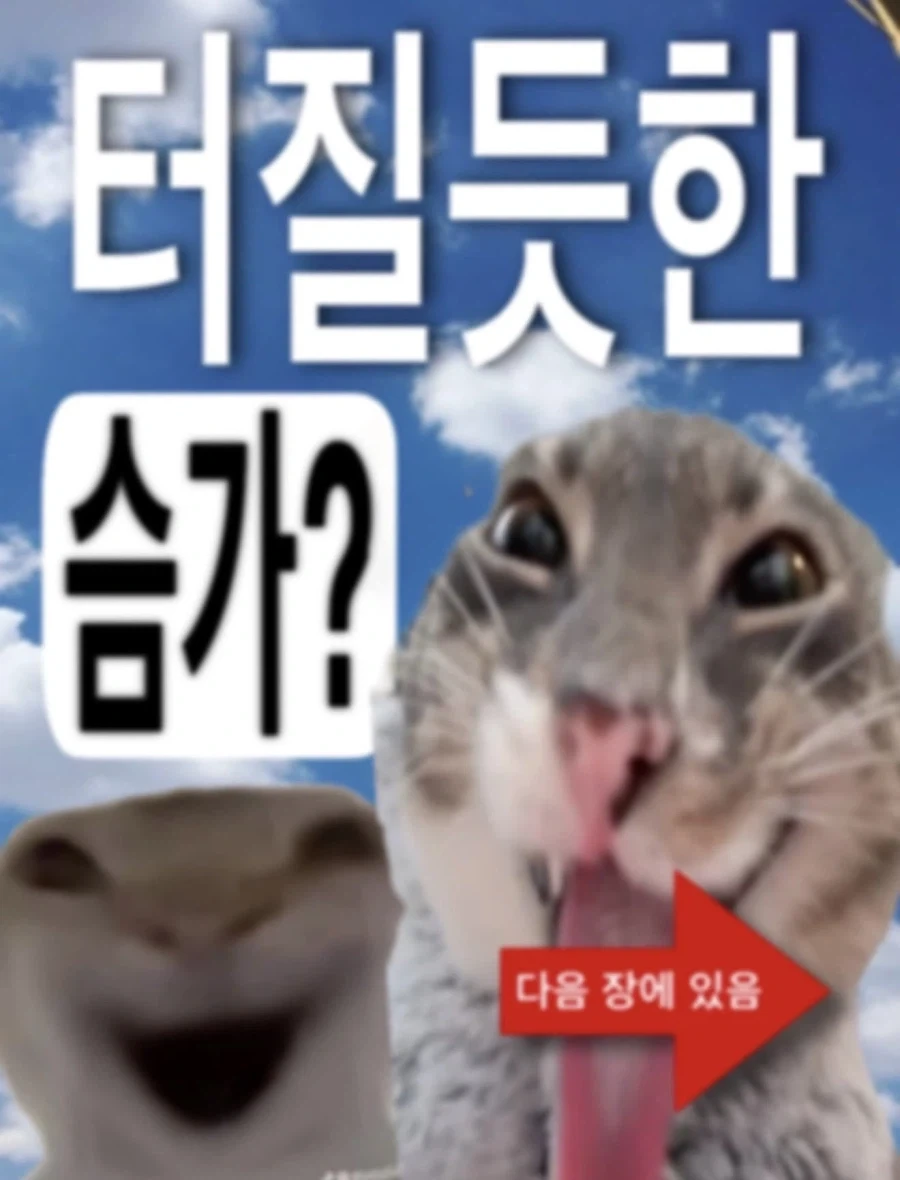 미이와 야마다 TVA 애니메이션화 취소. 이미지 4