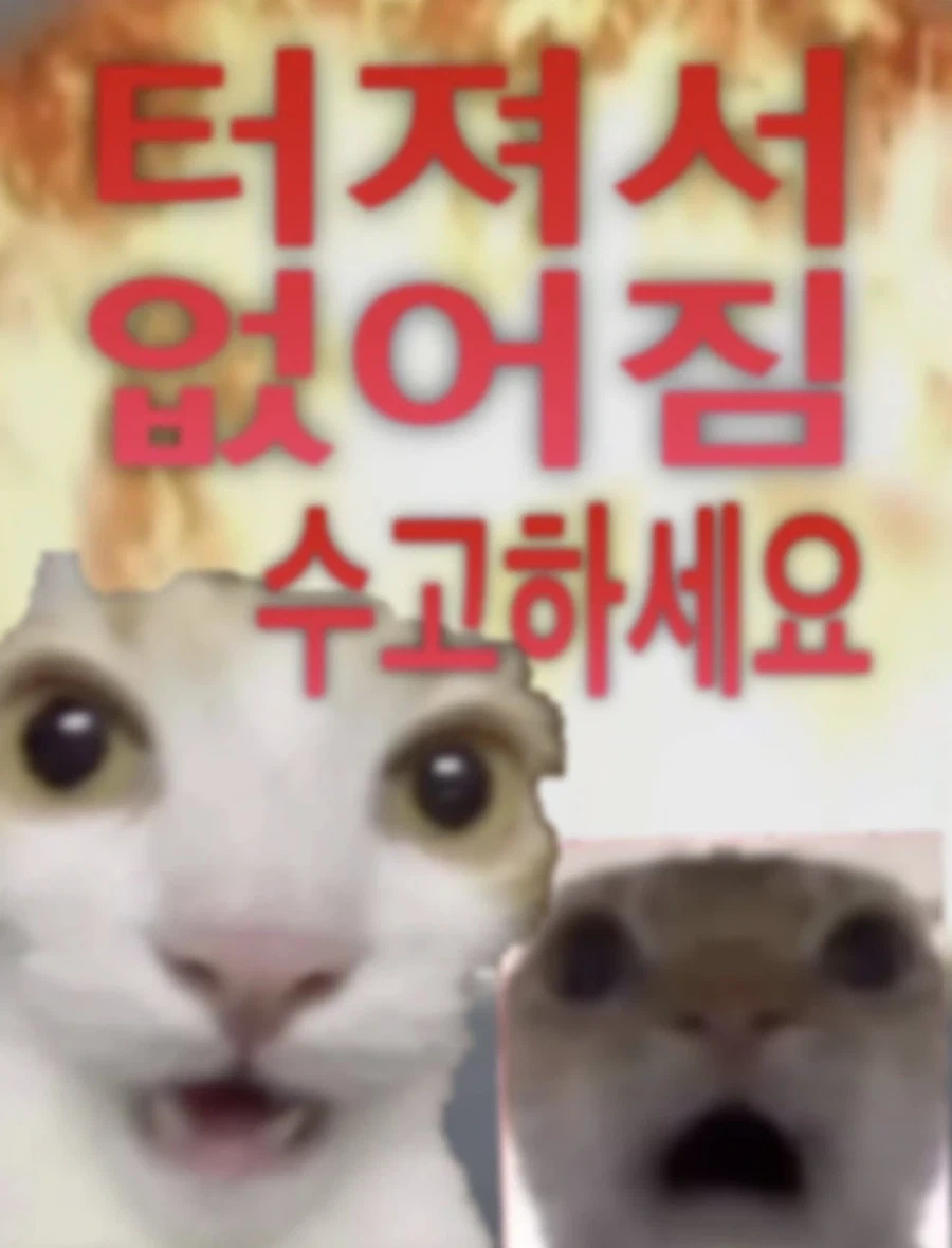 터질듯한 슴가 빨리 들어오셈_2.webp