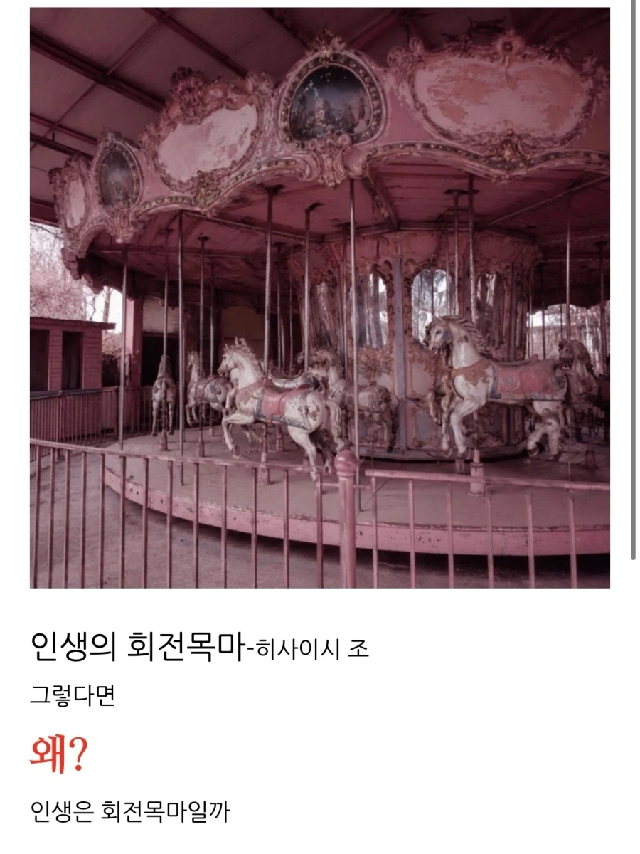 행운을 부르는 신기한 치즈덩어리 이미지 4