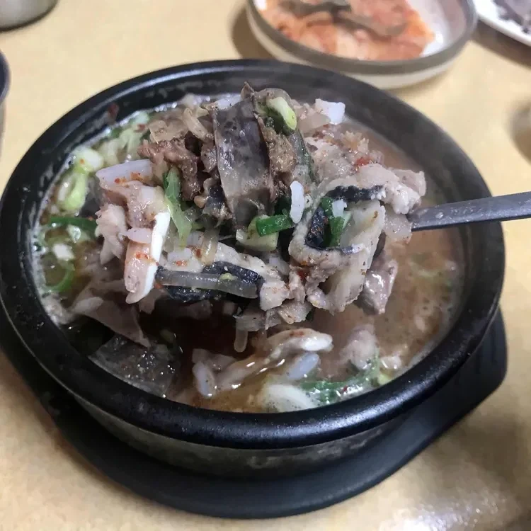 행운을 부르는 신기한 치즈덩어리 대표 이미지