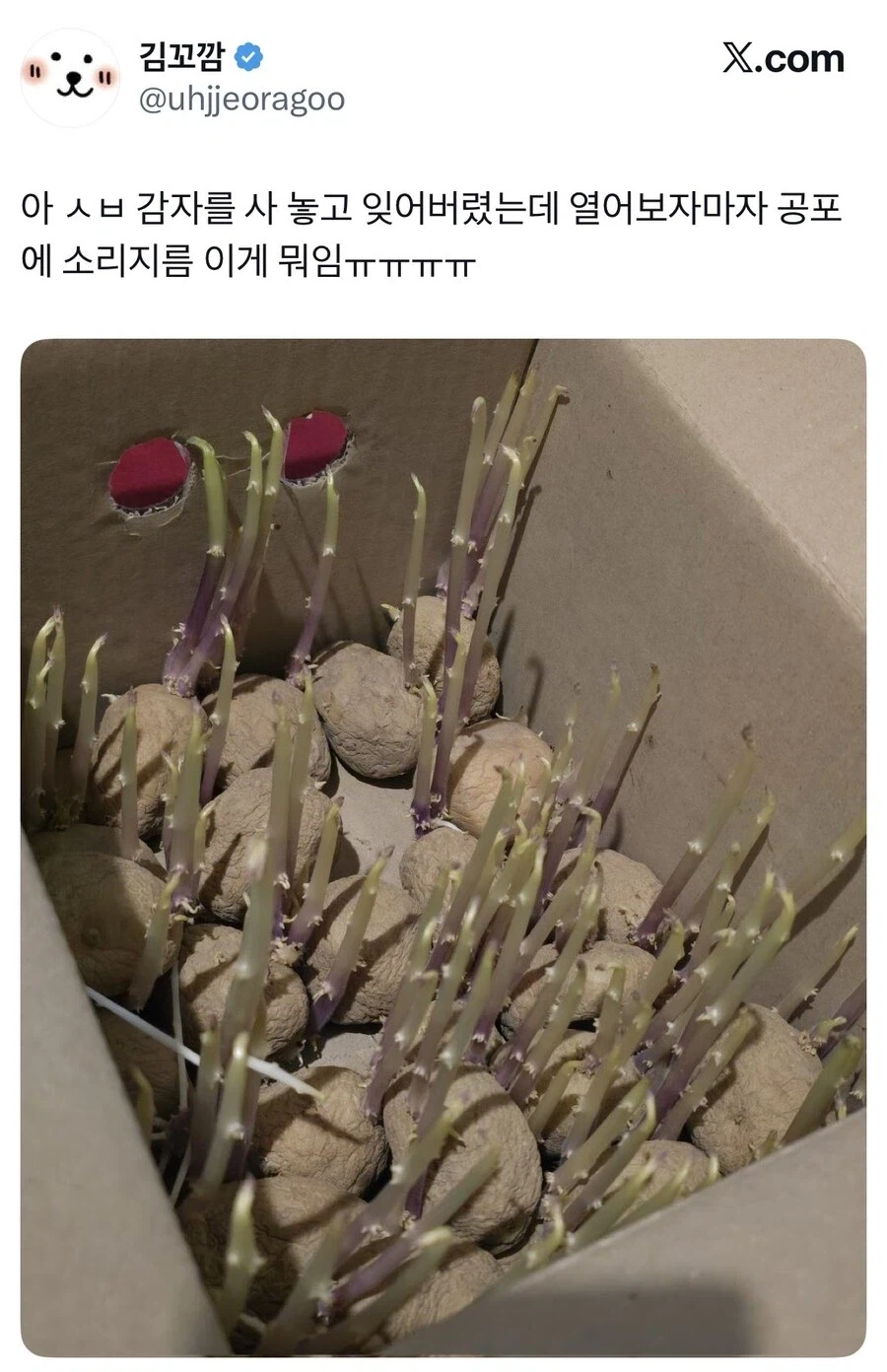 MCU) 마블에서 10년 넘게 일한 결과..! 이미지 2