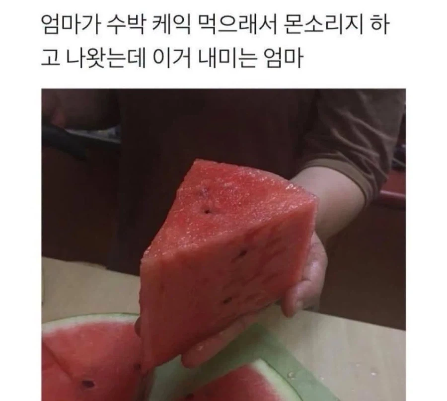 김형태에 대해서 소신발언한다 이미지 6