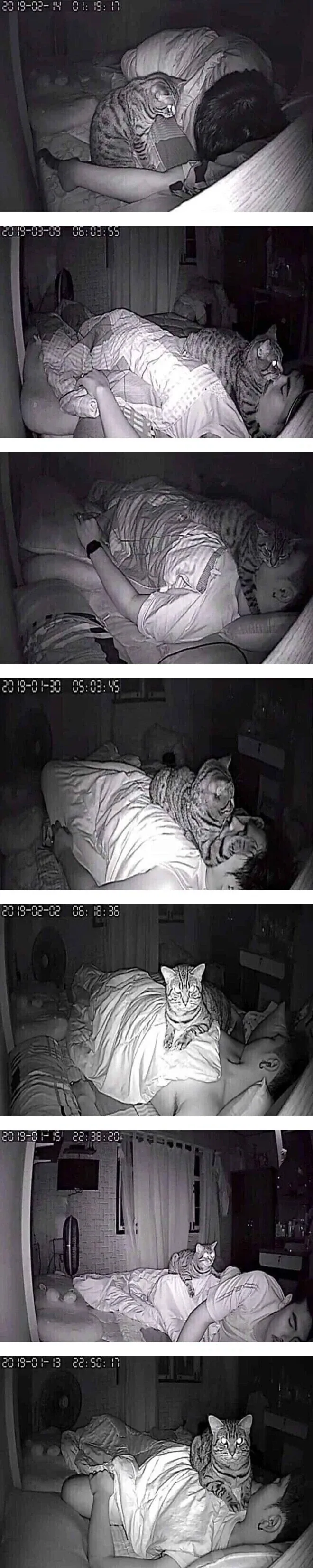 ??? : 이거보니까 요새 일본어 들어가도 K-pop 으로 쳐주던데? 이미지 2