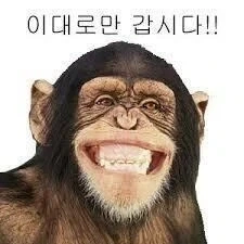 길에서 본 이대로갑시다_2.webp
