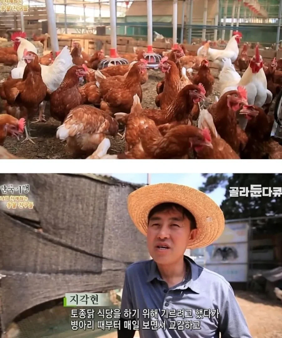 야근, 특근 수당 받으면 빨갱이임 이미지 2
