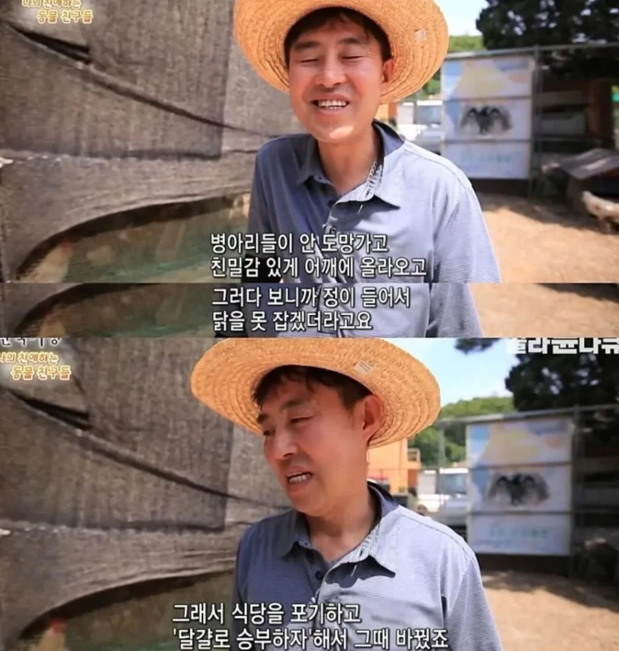 백숙집 차리려고 닭 키우기 시작한 부부의 최후_2.webp